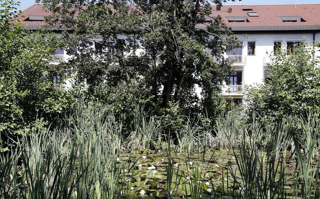 Tagungs- Und Bildungszentrum Steinbach/Taunus Штайнбах-ам-Таунус Экстерьер фото